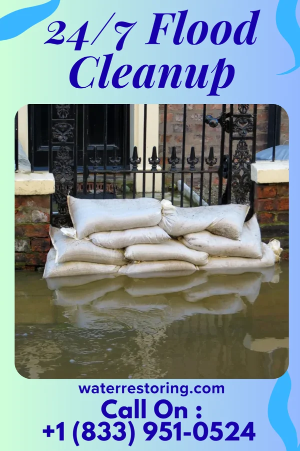 24/7 Flood Cleanup in Glendale, MS