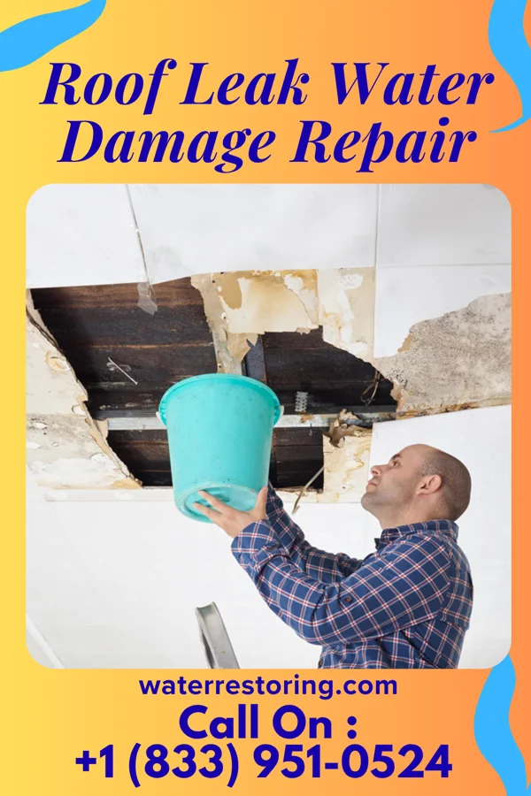 Roof Leak Water Damage Repair in Glendale, MS