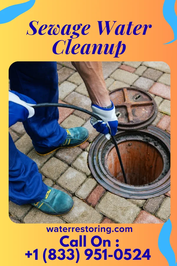 Sewage Water Cleanup in Glendale, MS